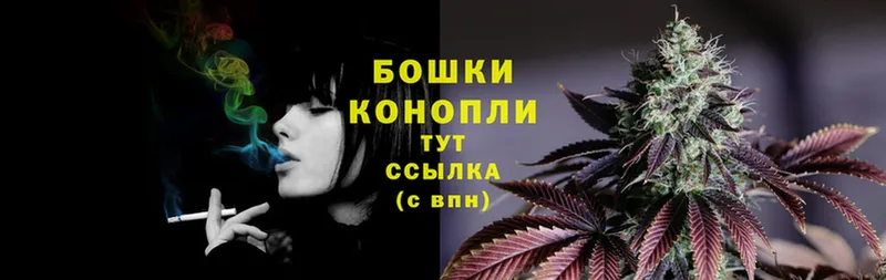 купить  цена  Сатка  МАРИХУАНА OG Kush 